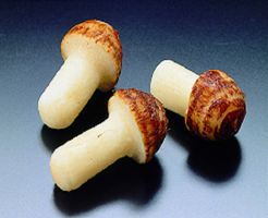 秋食材