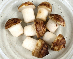 秋食材