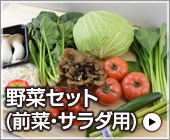 前菜・サラダ用