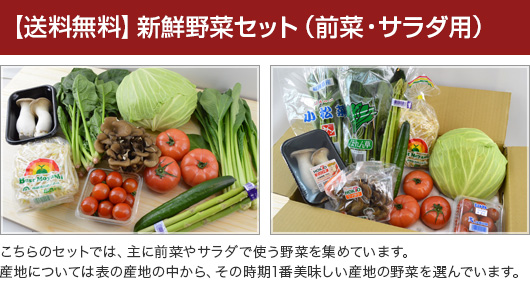 前菜・サラダ用