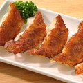 レンジでも餃子(焼調理済)  約15g×10個入