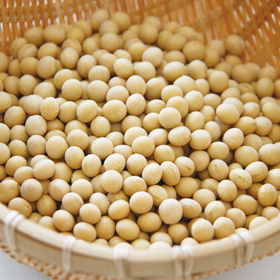 北海道産大豆 250g 882680★終売