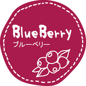 テイスティシール ブルーベリー【PB】 (パイ28mm) 200袋