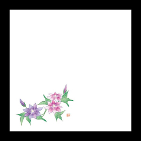 耐油天紙 5寸 てっせん(6～7月) 100枚入 1冊 Y004412