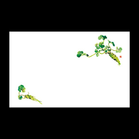 テーブルマット尺3#206 わさび 100枚 Y004568