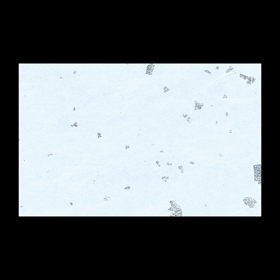 テ-ブルマット尺3#330 銀閣うすみず 100枚 Y004706