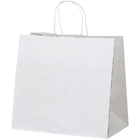 手提袋 HW-2 無地(片ツヤ) 50枚 Y008288