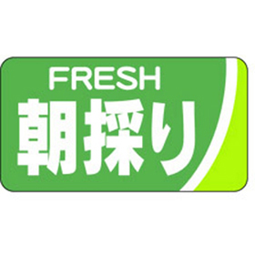 H-0090 朝採り 1000枚 Y009730