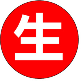 M-2537 生 1000枚 Y010293