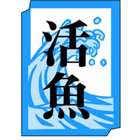 M-0993 活魚 1000枚 Y010331