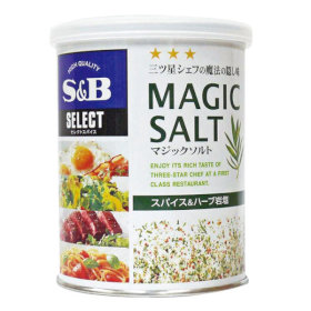 マジックソルトM缶 200g 19472★欠品中