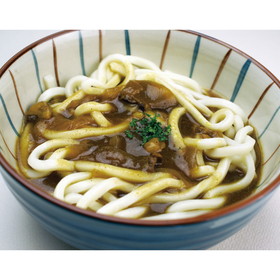 ぶっかけカレーうどんの素 250g×10食入 20742