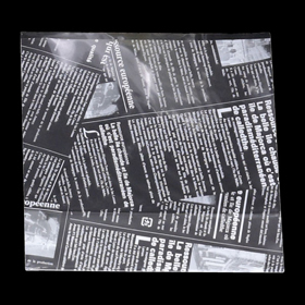 6684 ヨーロピアン縦型サンド B (ホワイト) (150X170(40)mm) 100袋