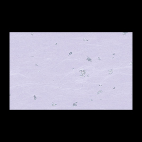 テーブルマット尺3#331 銀閣 ふじいろ 100枚 Y004707