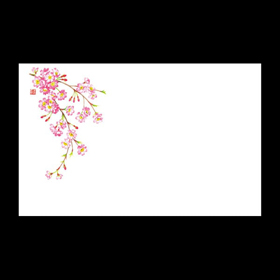 テーブルマット尺3#456 しだれ桜 100枚 Y004785