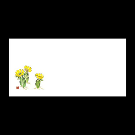 箸置きマット#4229 福寿草 100枚 Y004901