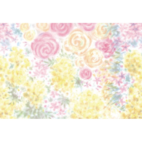 包装紙 SS 913 フローレス 100枚 Y008243