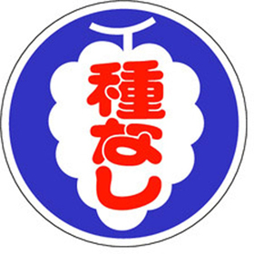 H-0056 種なし 1000枚 Y009816