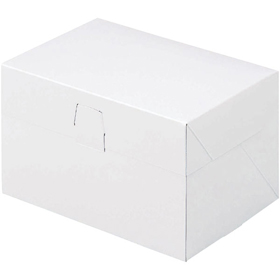 ロックBOX 105 ホワイト 5×7 25個 Y015645