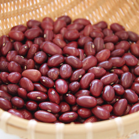 北海道産金時豆 250g 882679★終売