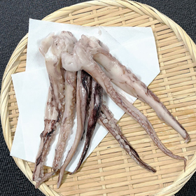 ムラサキイカ下足 20/40 1kg 884299