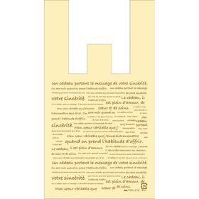 YOH-210 レジ袋 SS25 Aスタイル (150(80)X270mm) 100袋