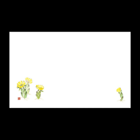 テーブルマット尺3#229 福寿草 100枚 Y004592