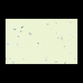 テーブルマット尺3#332 銀閣 くさいろ 100枚 Y004708