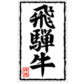 X-0207 飛騨牛 500枚 Y009544