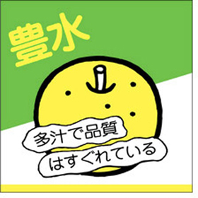 H-0150 豊水 500枚 Y009819