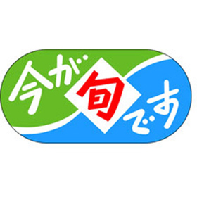 J-0480 今が旬です 1000枚 Y010395