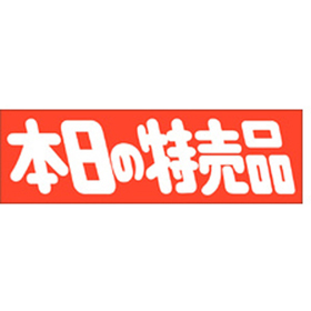 A-0451 本日の特売品 500枚 Y011409