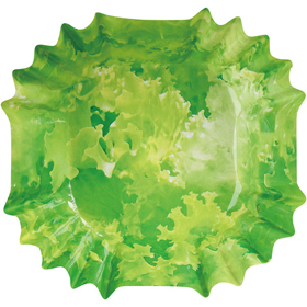 VIVIDケース 正角 レタス柄 500枚入 1本 Y018492