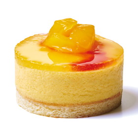 セルクルムース マンゴーパッション320g (10個入) 20399★終売