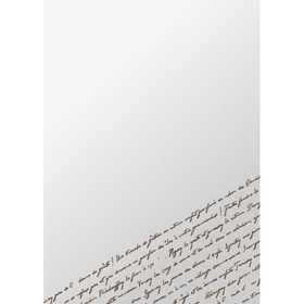 OPPパック スペシャリテ ブラウン【PB】 (120X180mm) 100袋