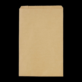 8949 無地規格紙袋 (茶) 特1号 (230X305+15mm) 100袋