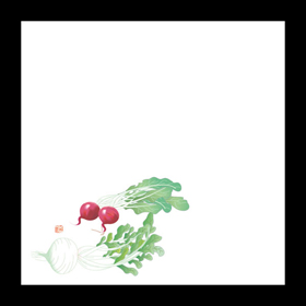 耐油天紙 5寸 かぶ(12～2月) 100枚入 1冊 Y004442