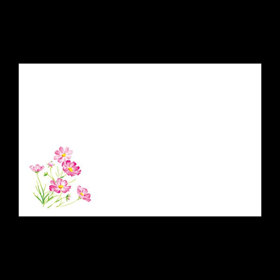 テーブルマット尺3#279 秋桜 100枚 Y004648