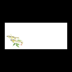 テーブルマットおてもと#3280 若鮎 100枚 Y004853