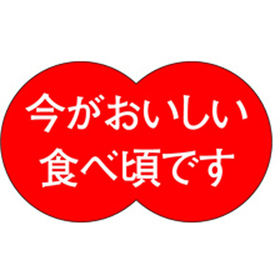 H-1577 今がおいしい食べ頃です 500枚 Y009723
