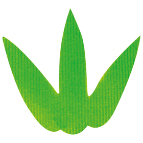 バラン 三枚笹小 C色 1000枚入 1箱 Y003652