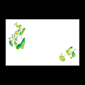 テーブルマット尺3#269 水芭蕉 100枚 Y004638