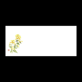 テーブルマットおてもと#3266 菜の花 100枚 Y004844