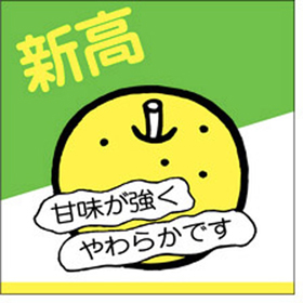 H-0153 新高 500枚 Y009821