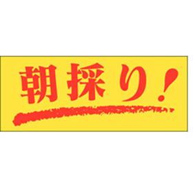 M-0126 朝採り 1000枚 Y010423