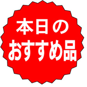 A-0186 本日のおすすめ品 1000枚 Y011434