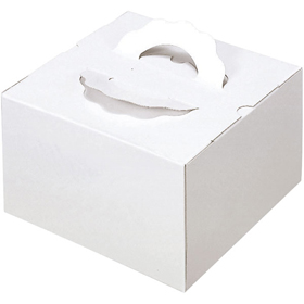 TD 白ム地 8寸 (本体) 25個 Y015043