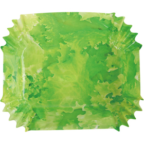 VIVIDケース 角特大 レタス柄 500枚入 1本 Y018494