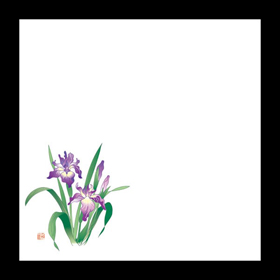 耐油天紙 4寸 菖蒲 (5～6月) 100枚入 1冊 Y004394