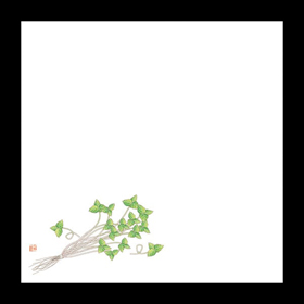 耐油天紙 5寸 みつば(4～5月) 100枚入 1冊 Y004407